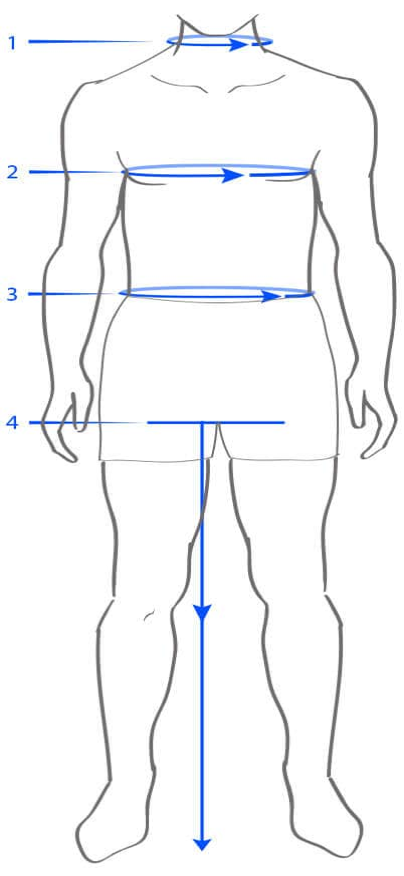 Model