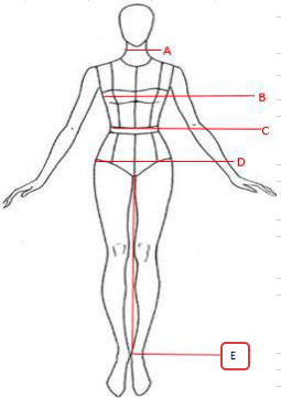 Model